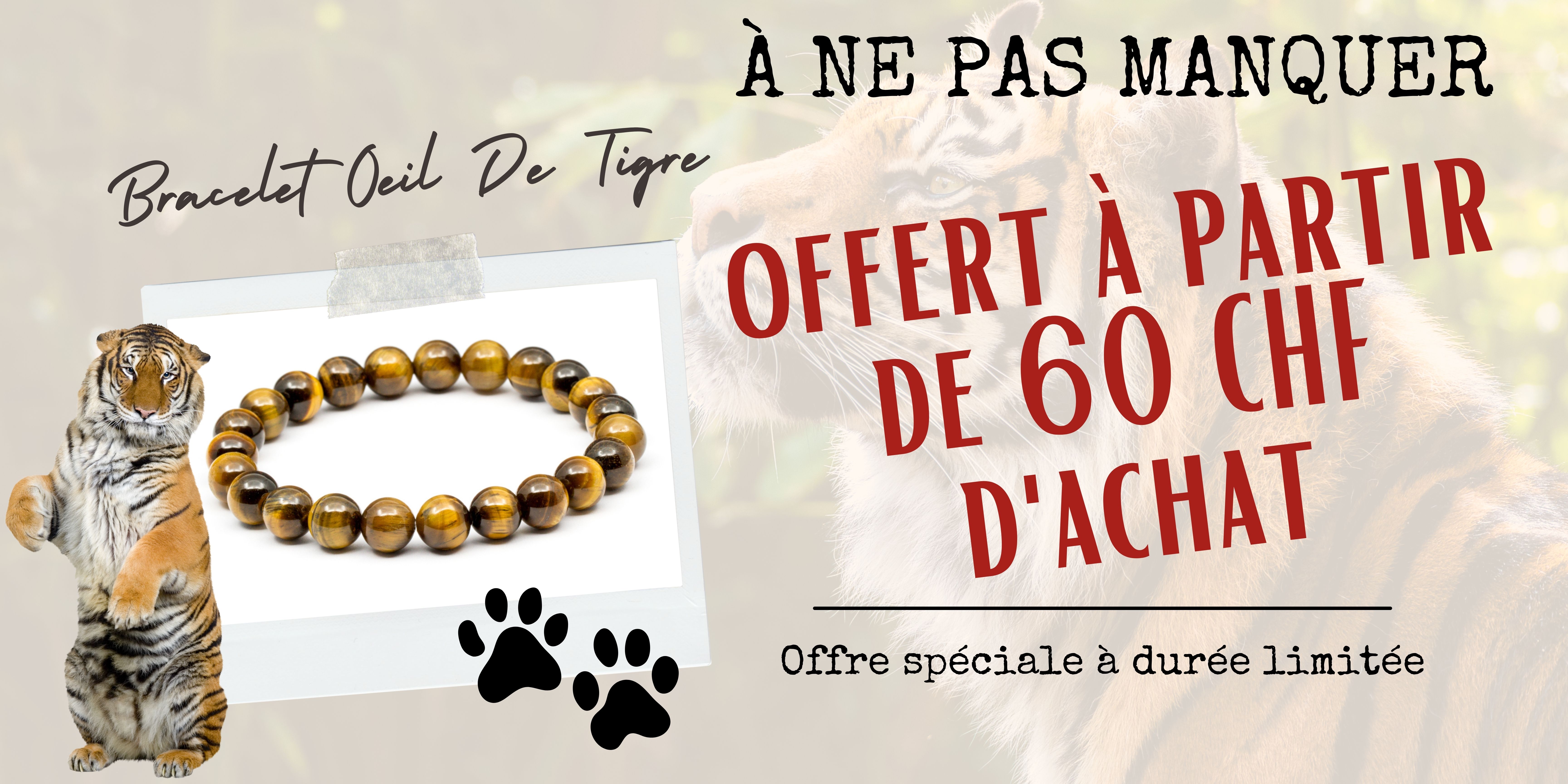 offre oeil de tigre